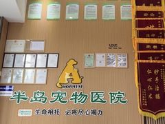 -半岛宠物医院24小时·内窥镜·牙科·碎石中心(府城大道店)