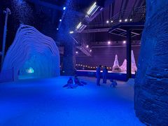 -世界之窗阿尔卑斯冰雪世界