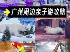 -长鹿旅游休博园