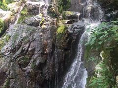 -藏龙百瀑风景区