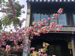 -常熟方塔园