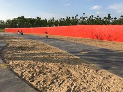 -春花秋色城市公园