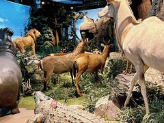 -陕西自然博物馆