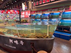 水产区-王庄阿咪海鲜大排档(象园店)