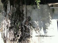 -槟城街头艺术街区