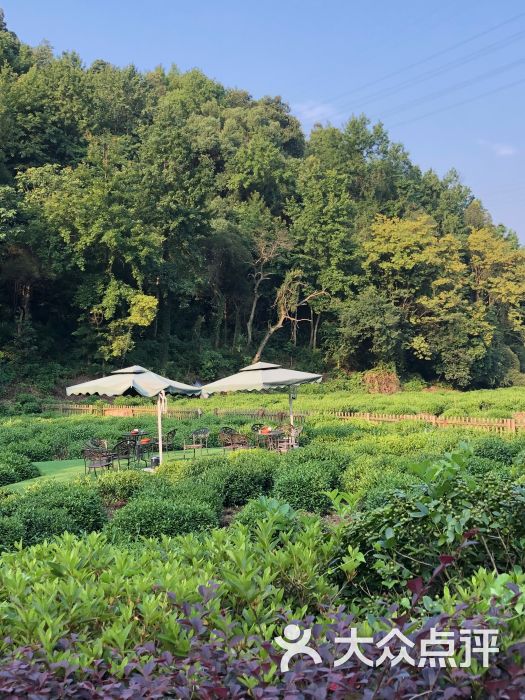 虎跑山庄-图片-杭州酒店-大众点评网