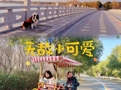 -南湖湿地公园