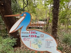 -同里国家湿地公园