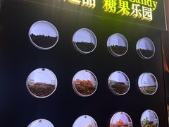 -一绪に和牛寿喜烧(罗湖益田假日店)