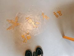 -猫里有甜