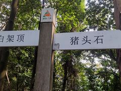 -火炉山森林公园