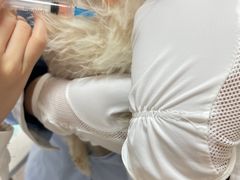 -派特宠物医院(海岸城店)