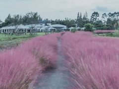 -白鹭湾湿地公园