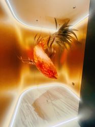 -禾美科技美肤·芳香疗愈SPA联合会所