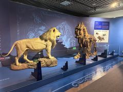 -国家自然博物馆