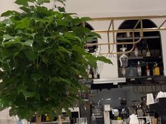 -Deer Park鹿园西餐(仁恒置地广场店)