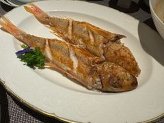 -金海华·悦食东方(苏州中心商场店)