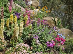 -共青国家森林公园-售票处