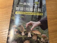 -一朵菌·野生菌探索家火锅(南亚店)