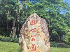 -田心森林公园