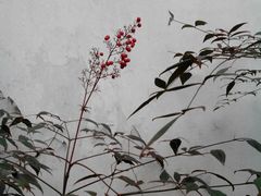 android_upload_pic-汇龙潭