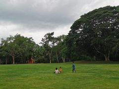 -中国科学院西双版纳热带植物园
