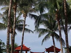 -三亚蜈支洲岛旅游区