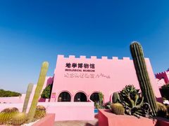 -漳州滨海火山岛自然生态风景区