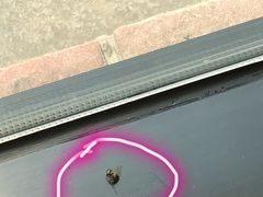 -七欣天香辣蟹火锅(苏州塔园路店)