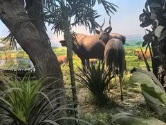 -国家自然博物馆