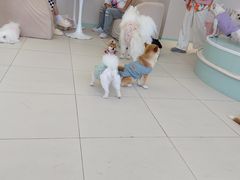 -怪兽屋·羊驼·猫咖·狗咖(俊华广场店)