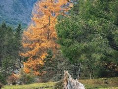 -硗碛藏寨·神木垒景区