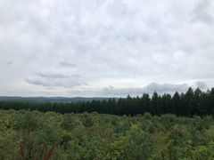 -塞罕坝国家级自然保护区