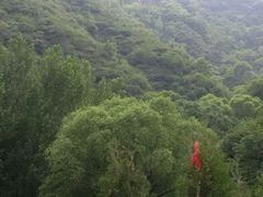 android_upload_pic-蒙山大佛景区