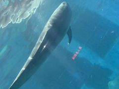 -福州罗源湾海洋世界旅游区