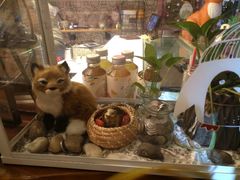 -狐狸家·酸奶酪专门店(平江路店)