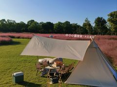 -顾村公园3号门停车场