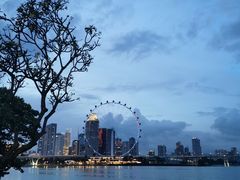 -新加坡乌节希尔顿酒店 (SG Clean)