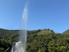 -西双版纳原始森林公园