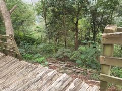 -岳西天峡风景区