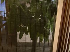 -苏面斋·本地传统苏式面馆