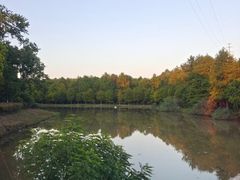 -上海海湾国家森林公园