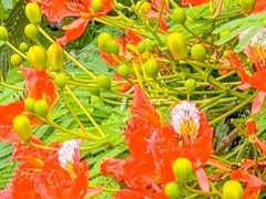 -缘生态云南菜·野生菌庭院餐厅(华侨城店)
