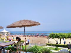 -碧海金沙