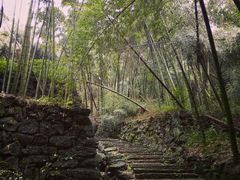 -会稽山峡洞漂流-上青古道