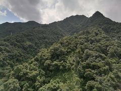 -南丹山森林王国
