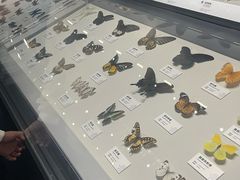 -四川大学博物馆