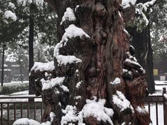 -中岳庙