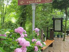 -剑门关风景区