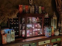 -雪灵魔法世界SHELLY’S TAROT(大良桂畔里店)
